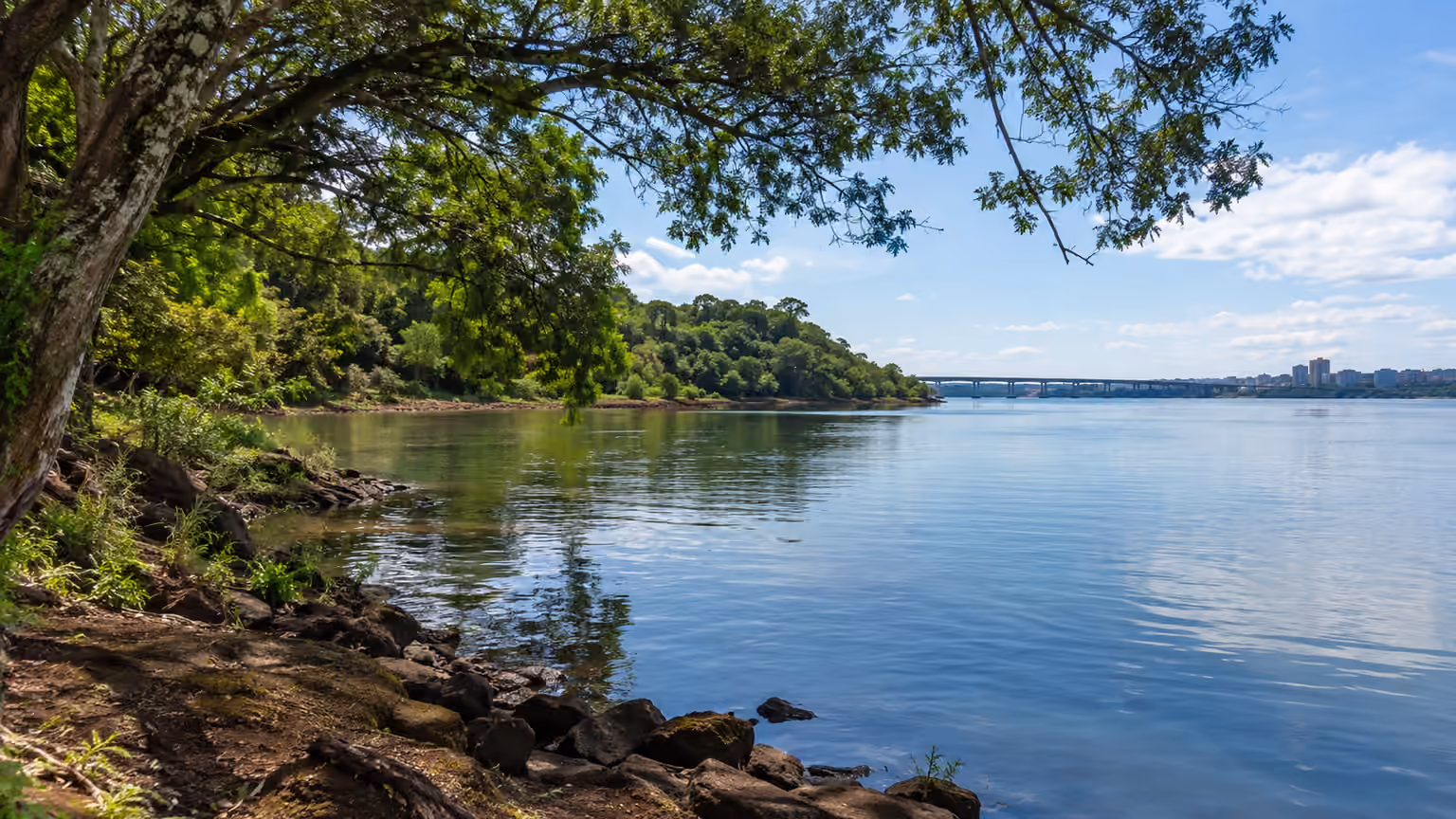 A quiet wooded shoreline and calm water near Guaira on the Brazil-Paraguay border