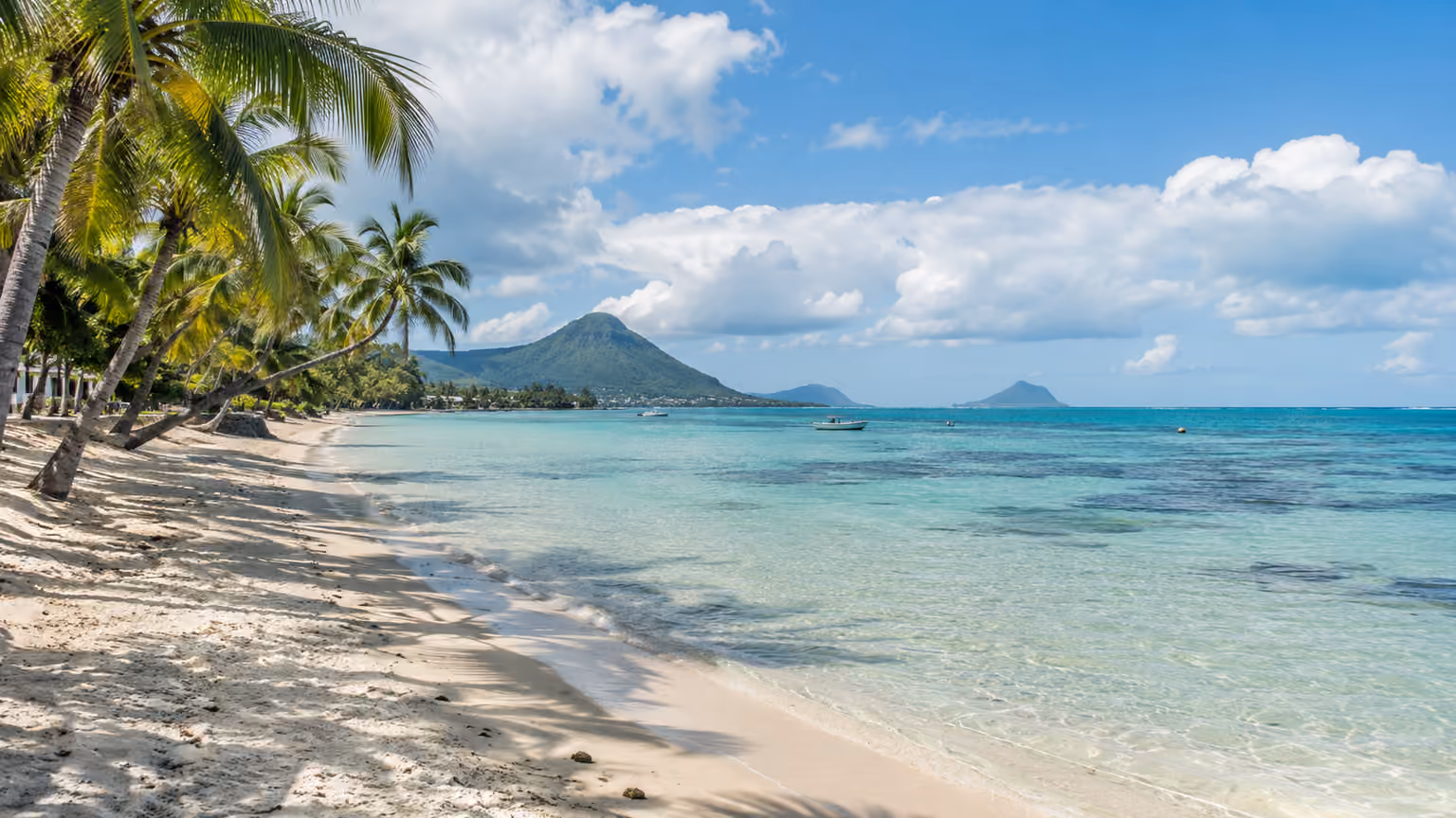 A natural east-coast Mauritius beach with palms