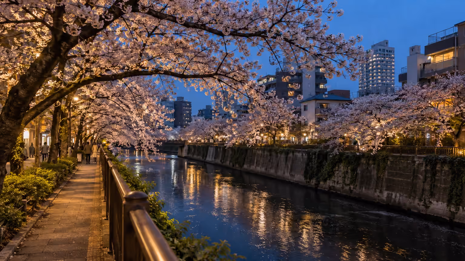 A Tokyo Meguro riverside walking path beneath flowering cherry trees at blue hour