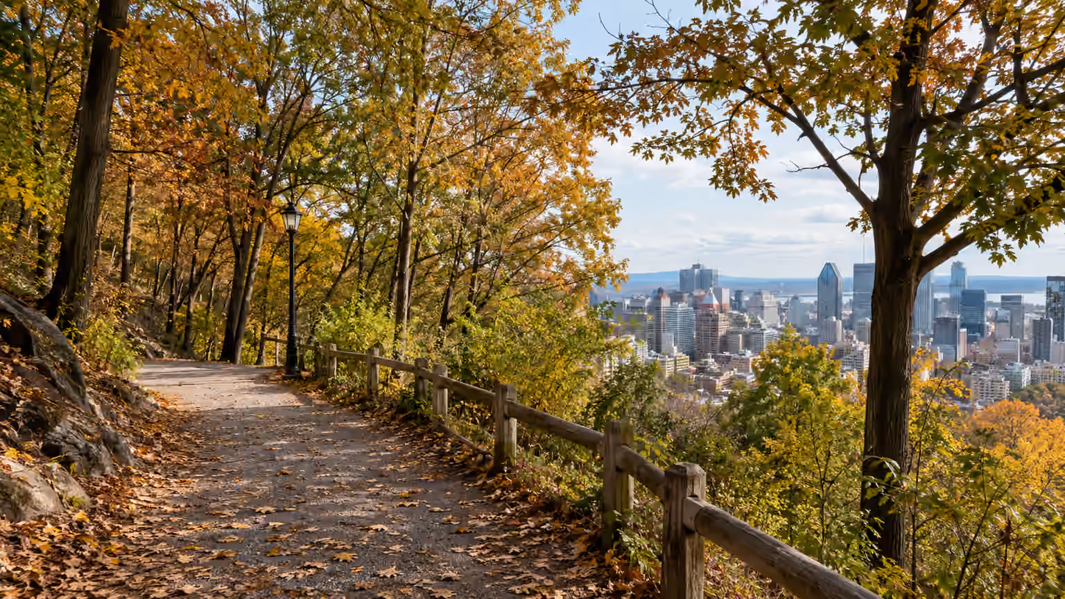 A quiet wooded walking path on Mount Royal Montreal with autumn leaves and gently sloping park