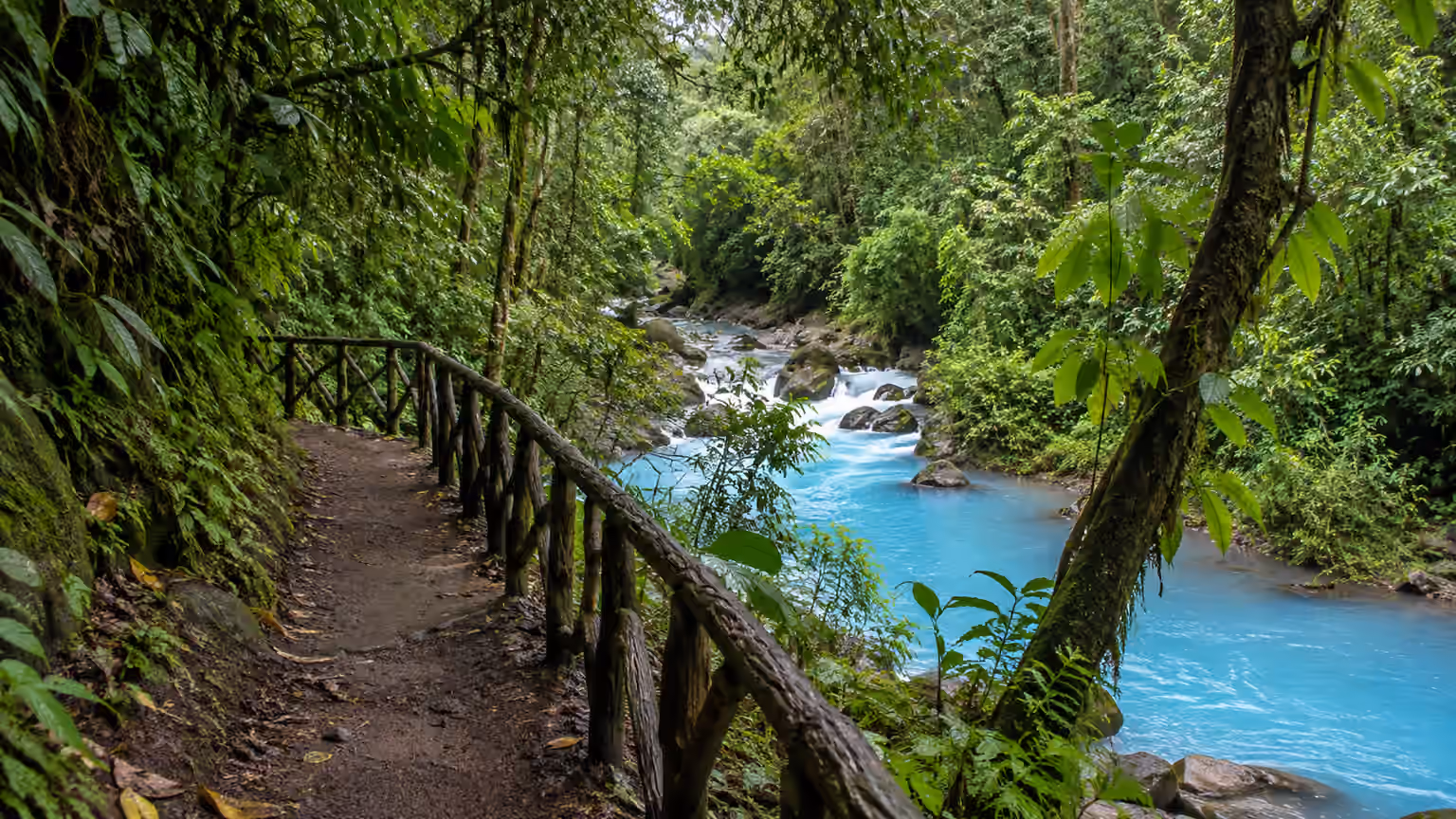 A shaded rainforest walking path beside the Rio Celeste area in Tenorio Costa Rica