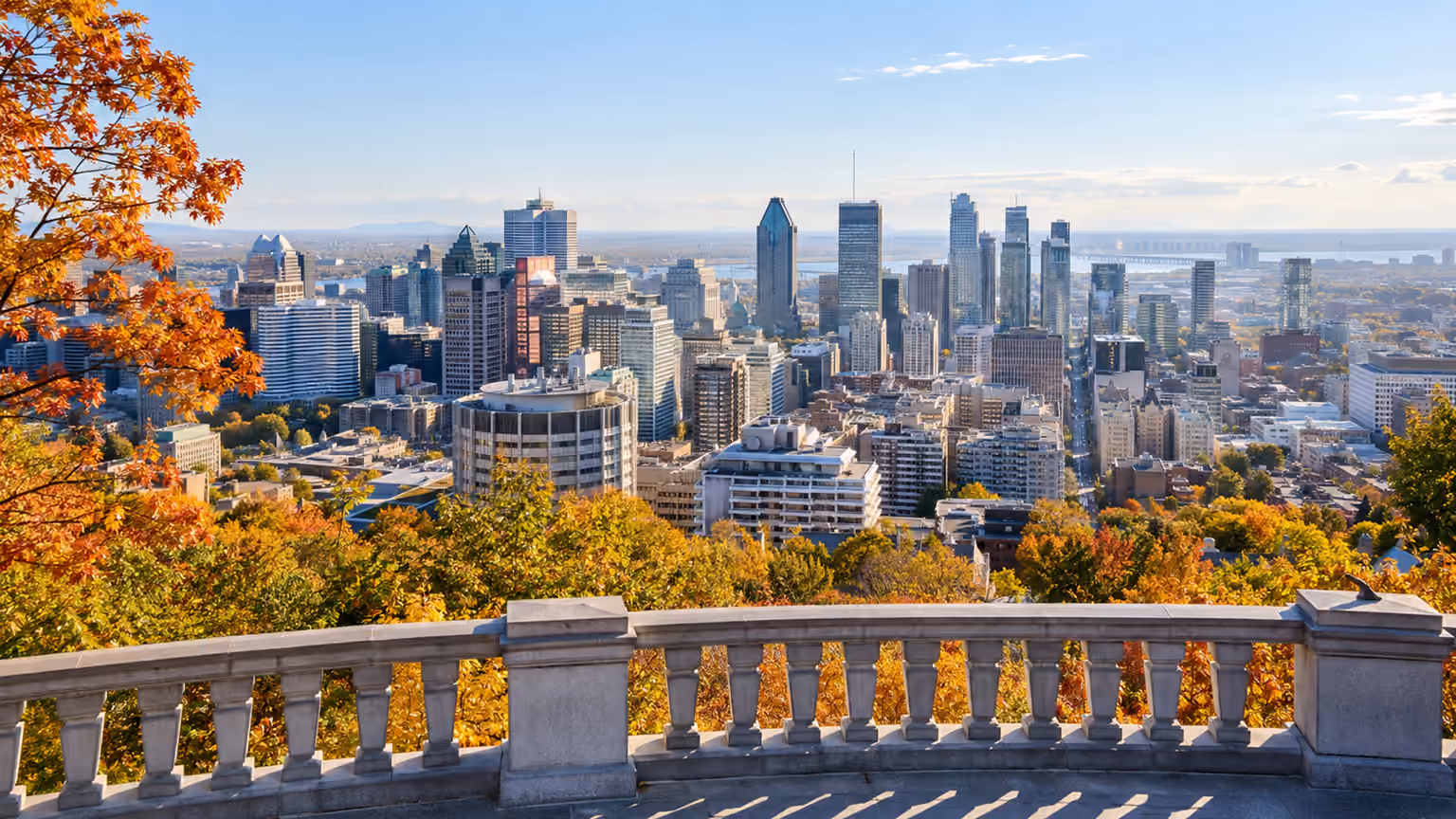 Autumn trees and a stone lookout railing above a city skyline and distant river