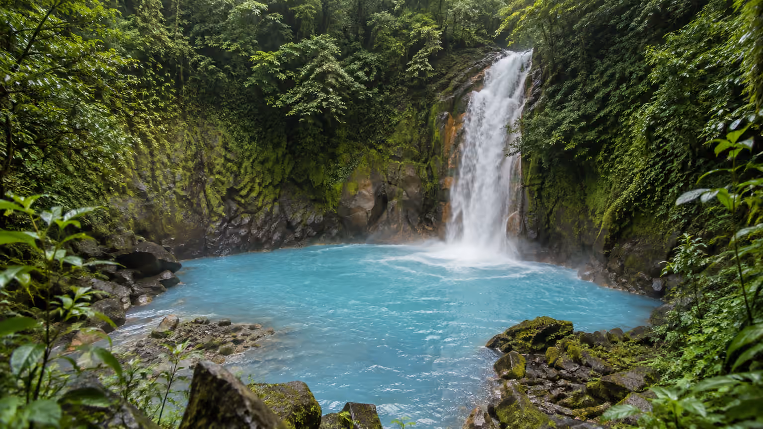 A rainforest waterfall falling into a turquoise pool surrounded by green foliage