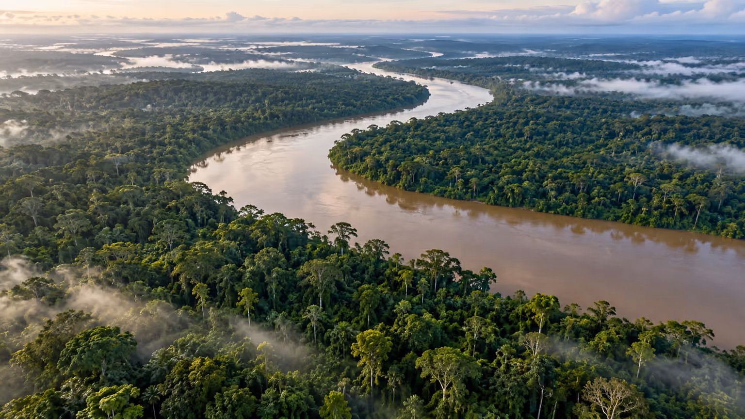 A winding brown river surrounded by dense Amazon rainforest and low morning mist